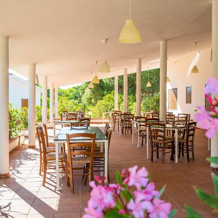 Happy Camp Mobile Homes In Camping Village Baia Paradiso บาเดซี ภายนอก รูปภาพ